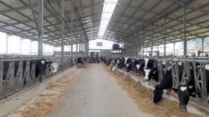 Exploração Agrícola